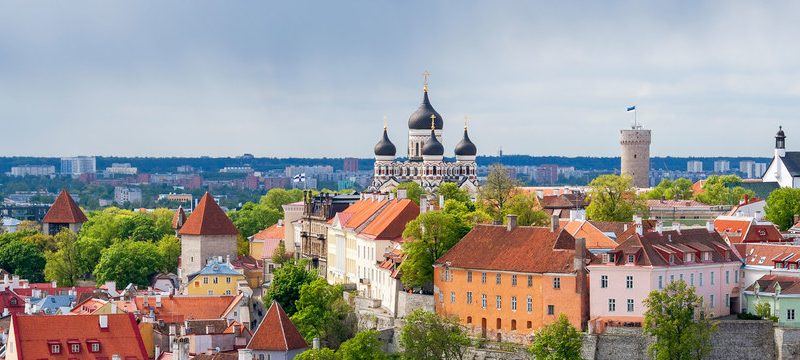 Україна там, де ми: Естонія