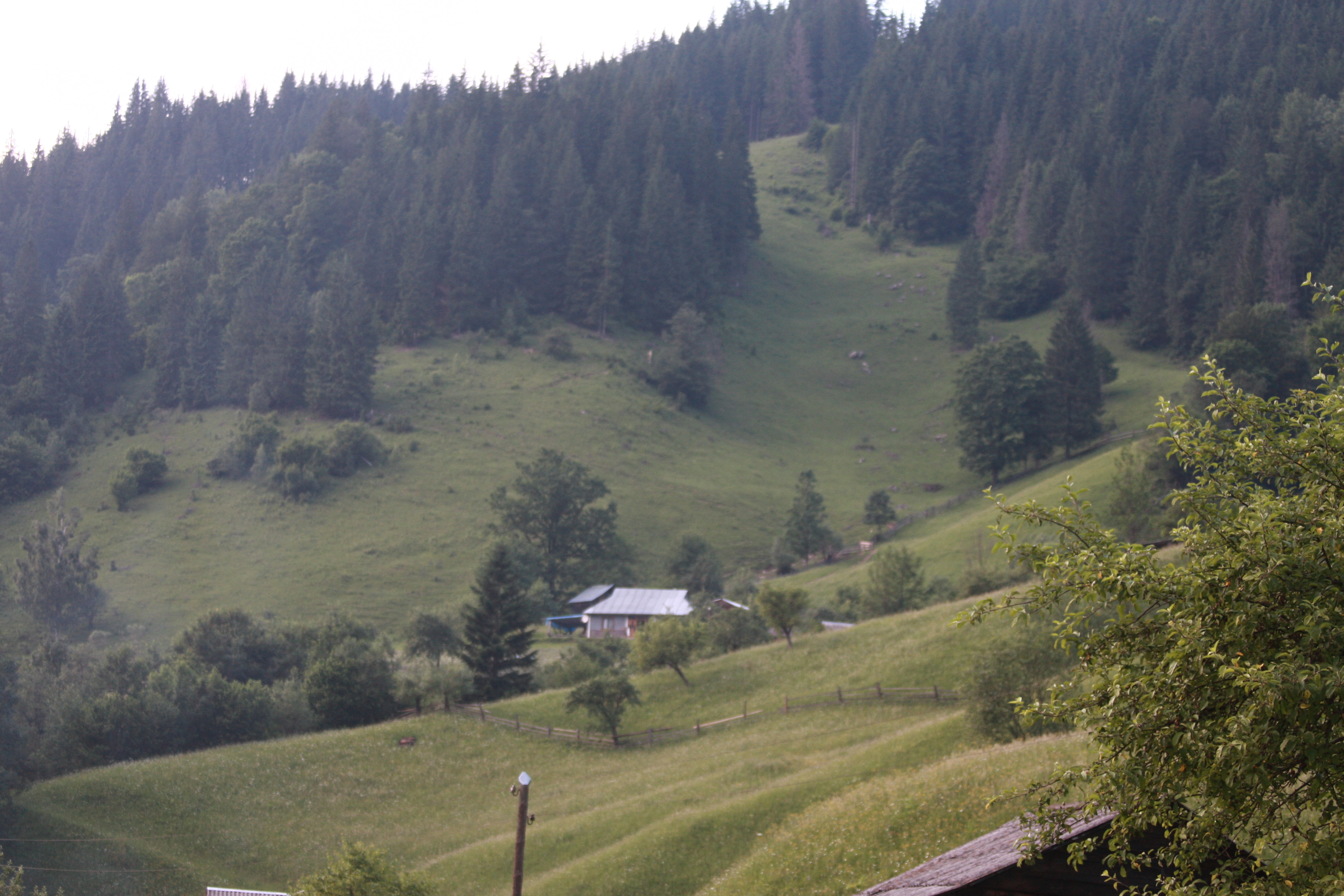 Carpathians trip & BD_0123