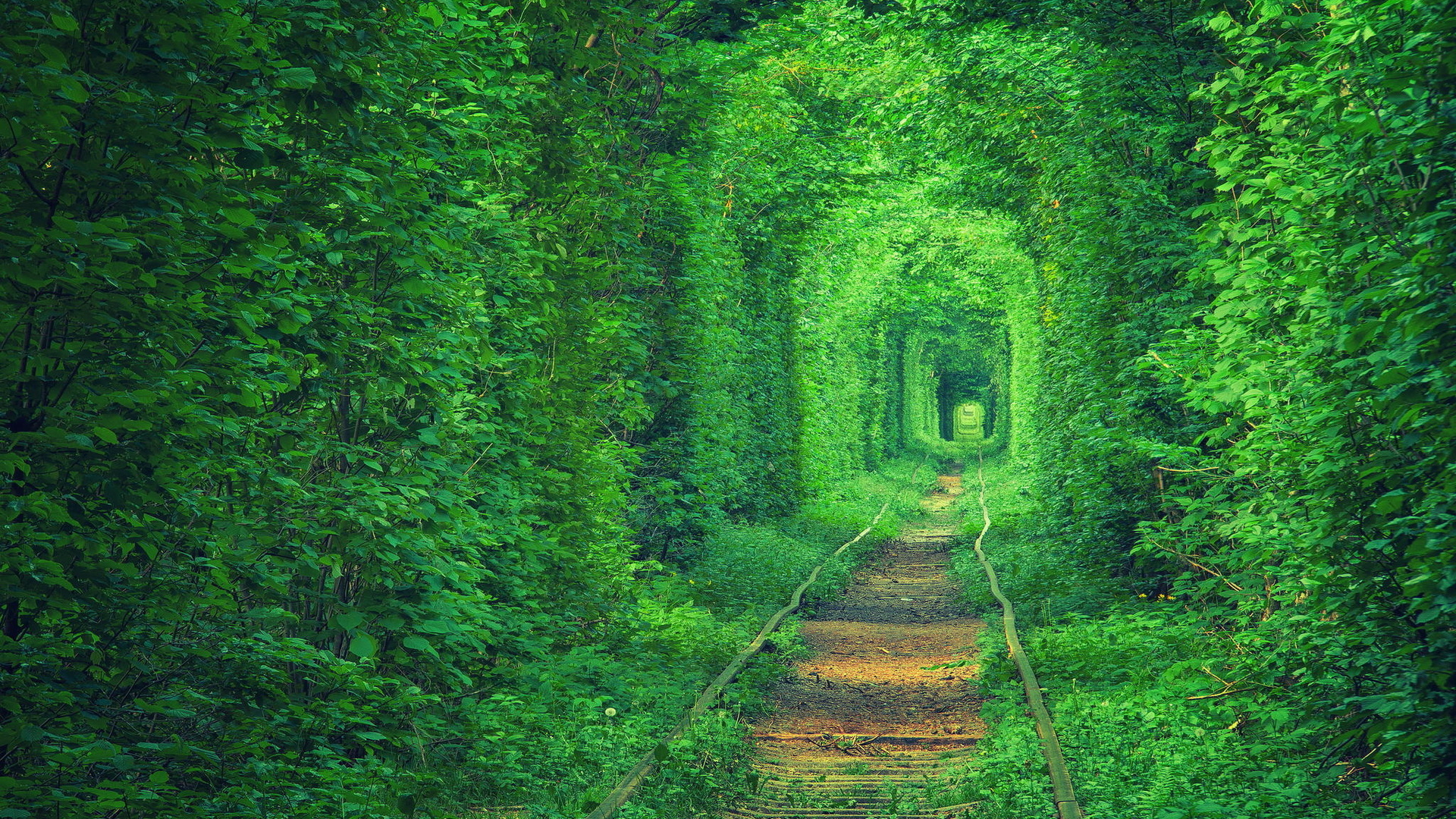 Загадковий тунель любові