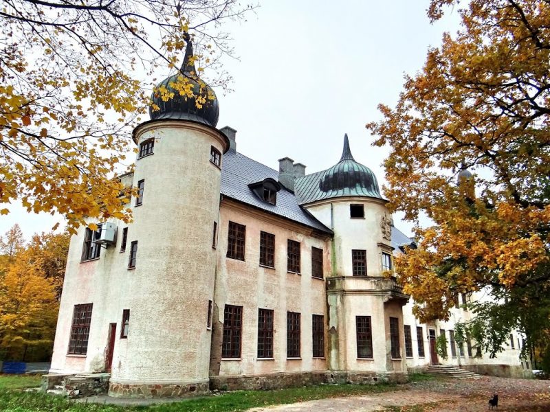 Фотопідбірка забутих палаців України