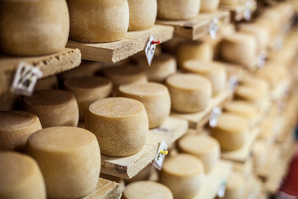 Сыроварни Украины: где купить настоящий украинский сыр