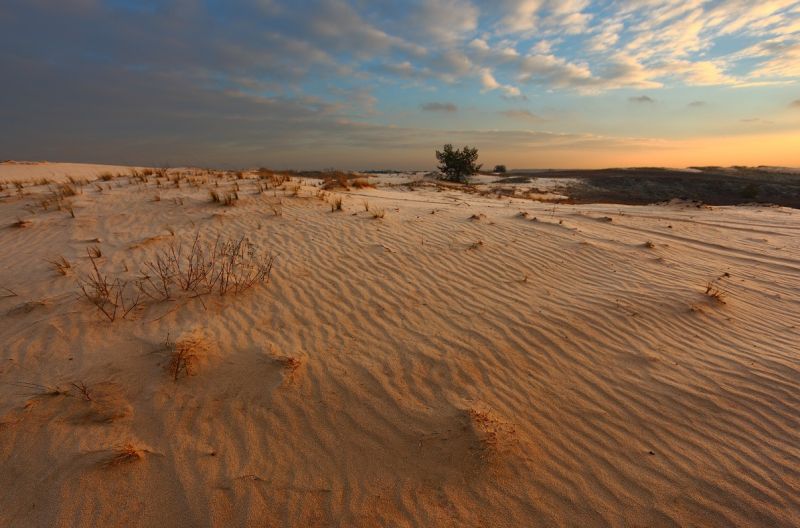 Kitsevskaya desert, Kharkov region