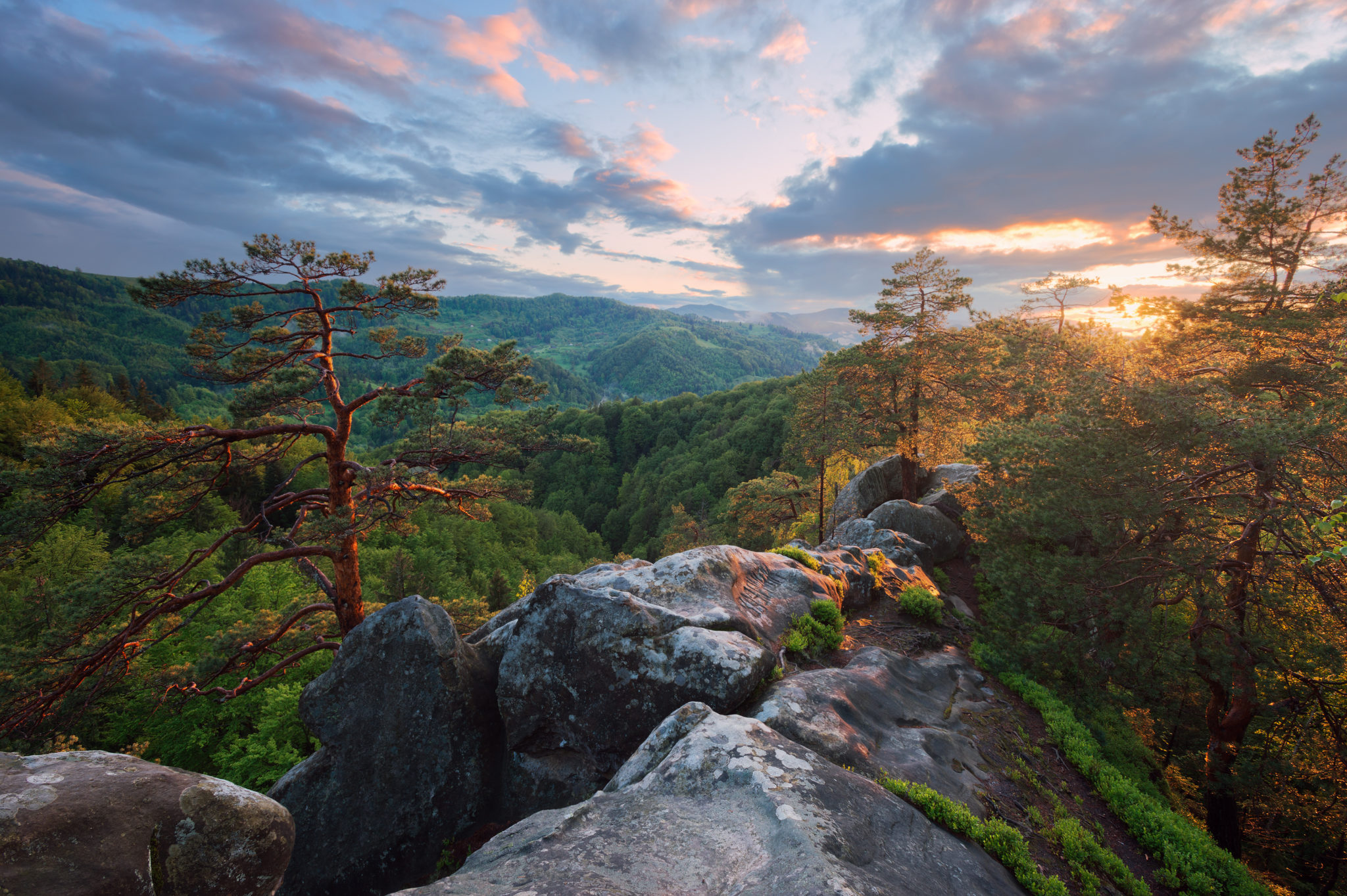 Evening on the cliff over the forest