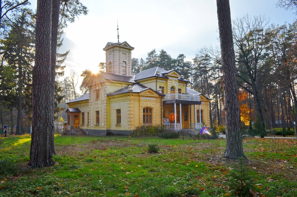 Дом графини Уваровой в Ворзеле