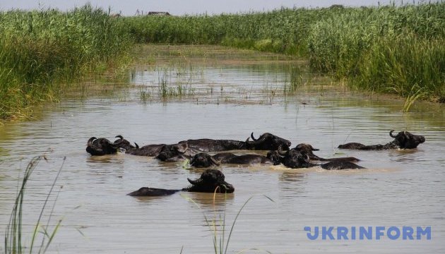 В Одеській області відкрився незвичайни еко-парк