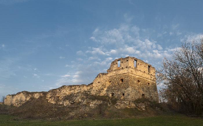 Токовский замок