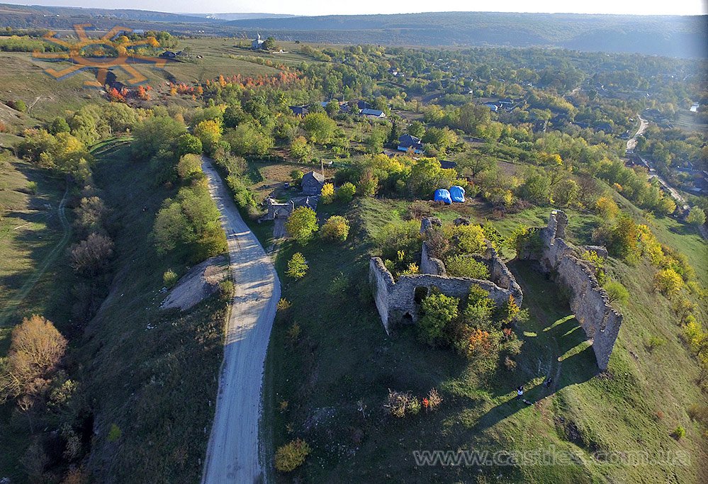 Чернокозинецький замок