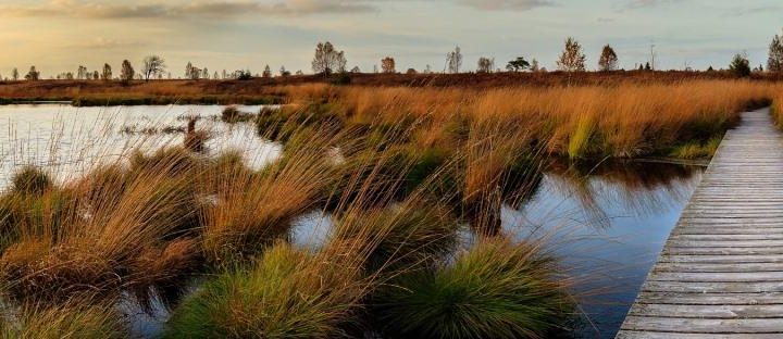 The Most Stunning Natural Reserves in Ukraine