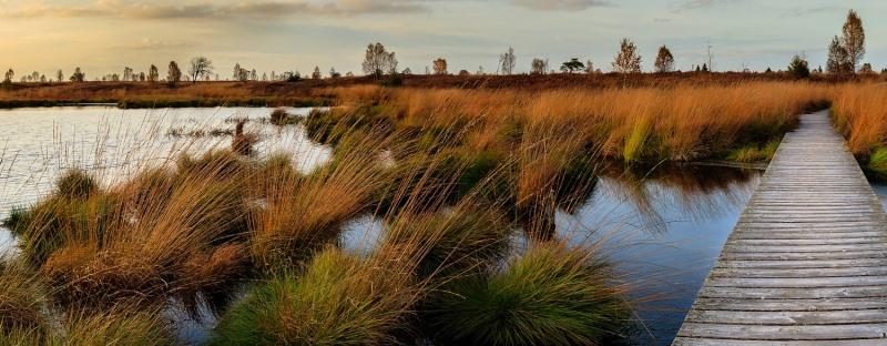 The Most Stunning Natural Reserves in Ukraine