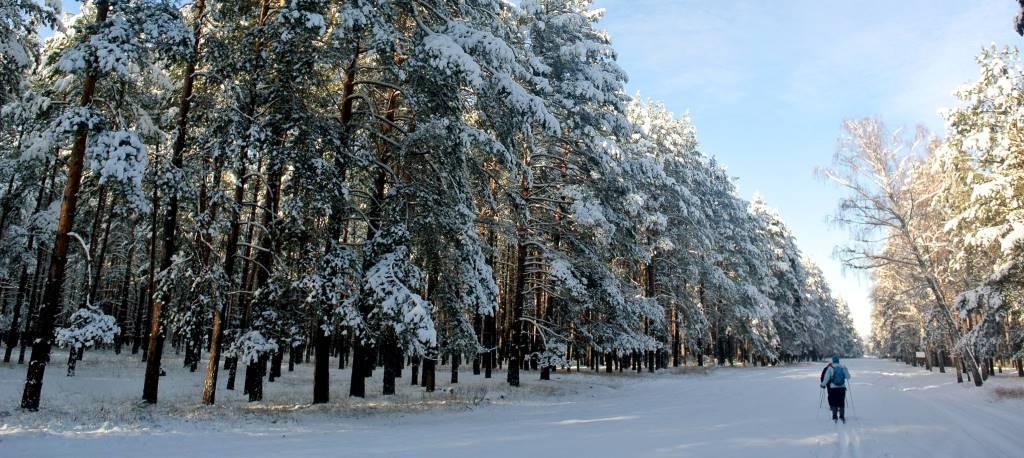 Національний парк Залісся