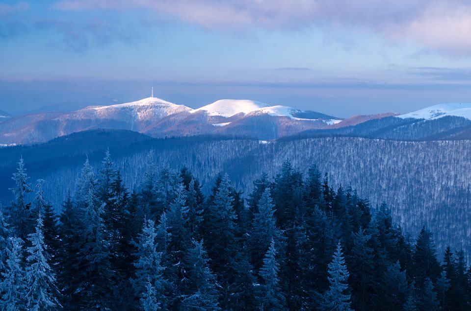 Фото Карпат зимой