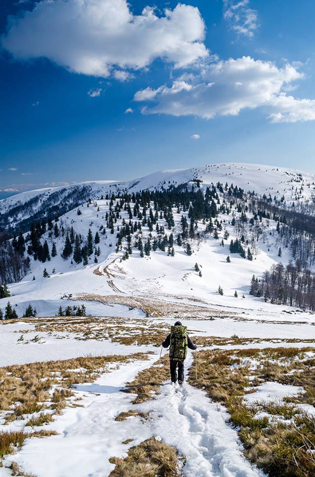 Фото Карпат зимой