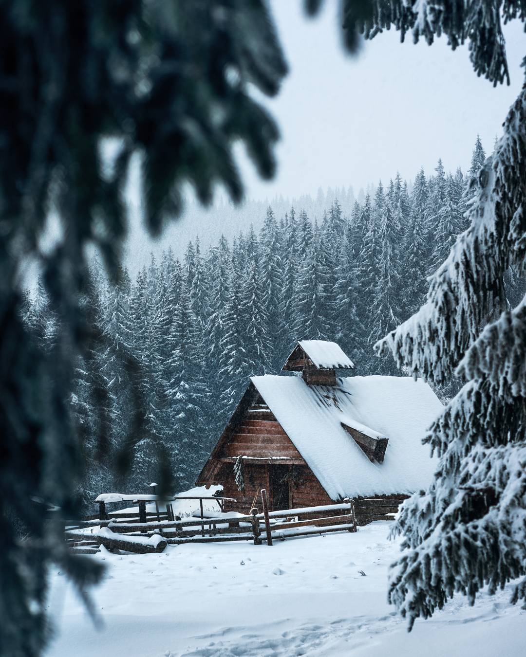 Фото Карпат зимой