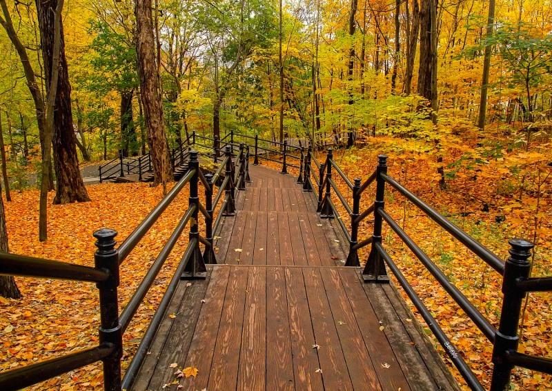 10 парків України для прогулянок восени