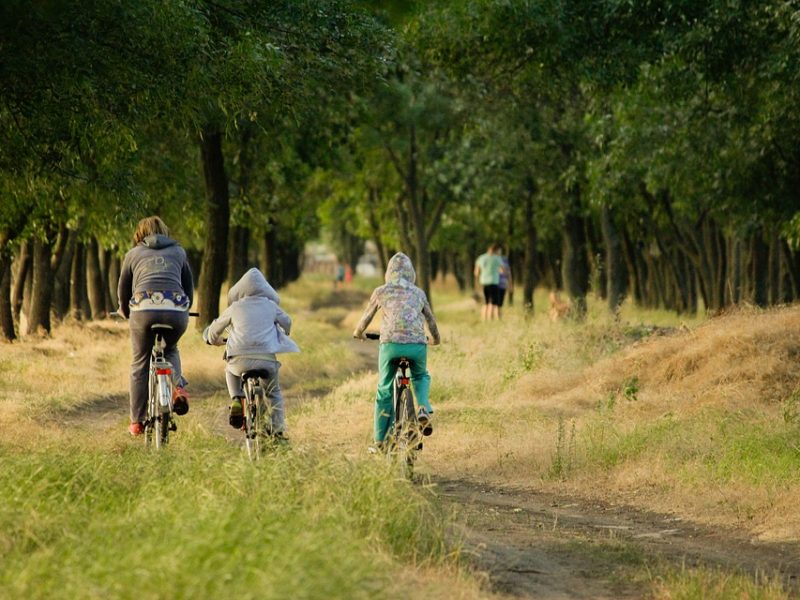 Відпочинок з дітьми в Карпатах