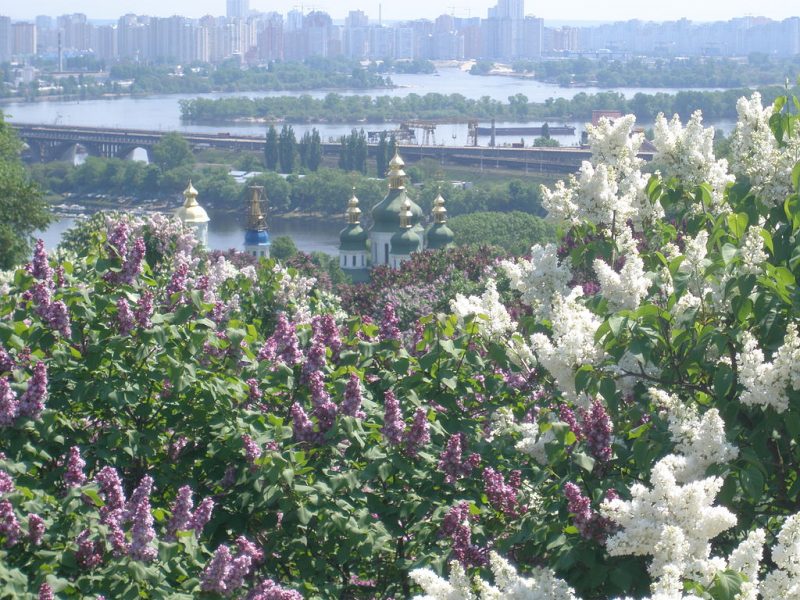 Топ-9 ботанічних садів та ладшафтних парків в Києві та поблизу