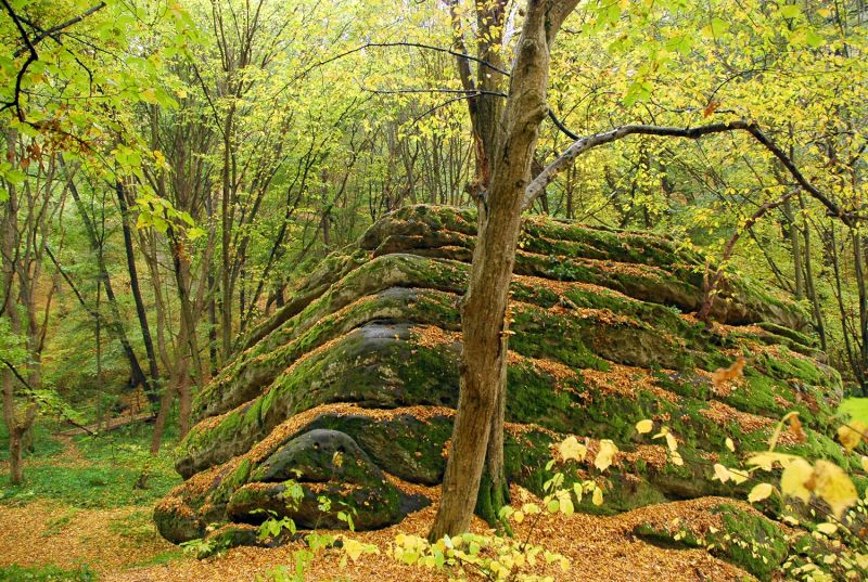 Місця козацької слави, які має відвідати кожен українець